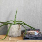 Keramični lonec Home Gardens 925.009.15